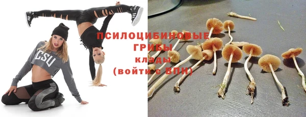 тгк Красноперекопск