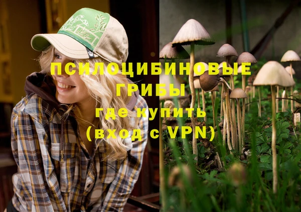 прущая мука Краснослободск