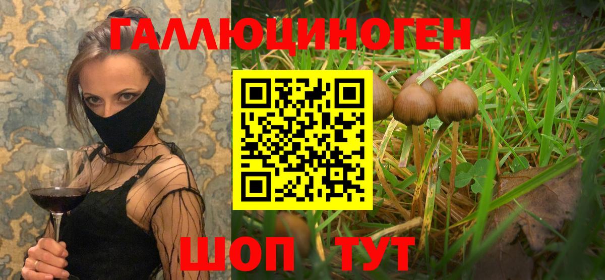 Галлюциногенные грибы ЛСД Пермь